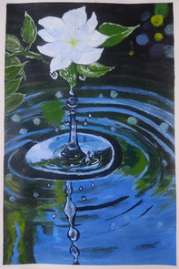 Water Drp[]